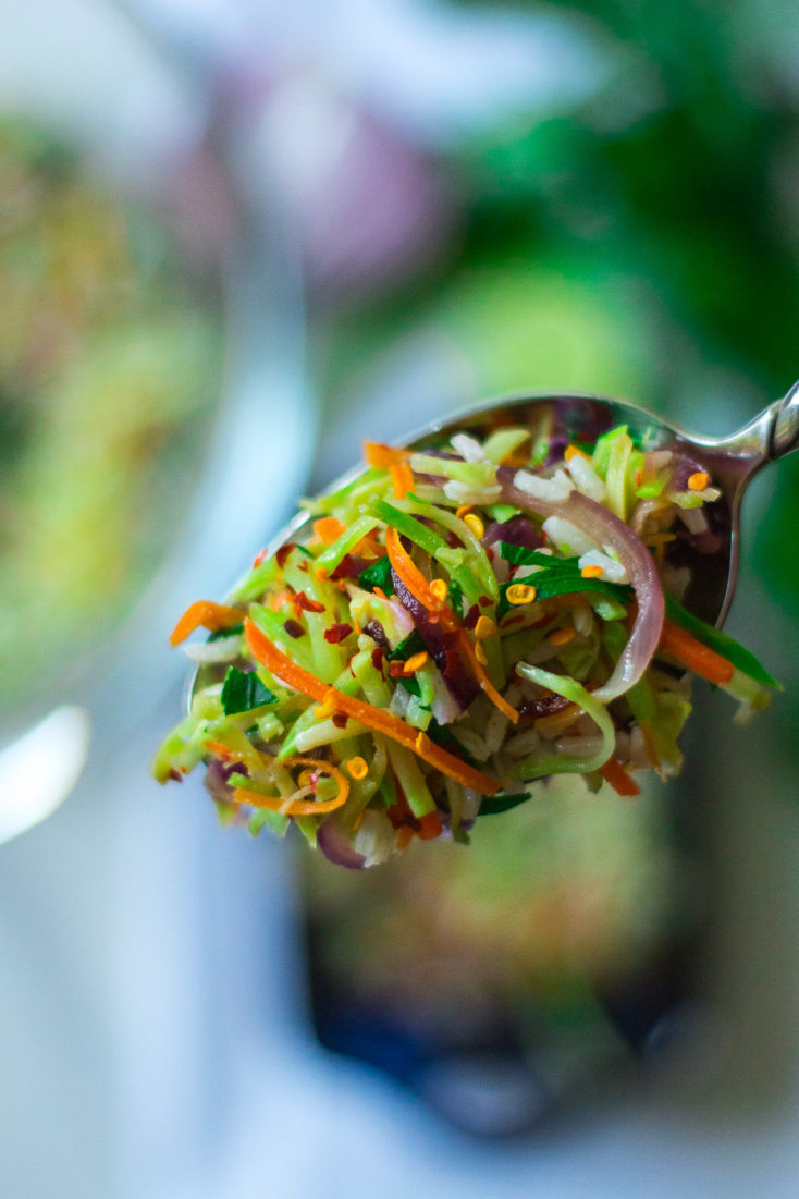 Spoonful Broccoli Slaw Rice